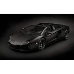 Pocher HK121 Lamborghini Aventador LP 700-4 Roadster Nero Nemesis M...