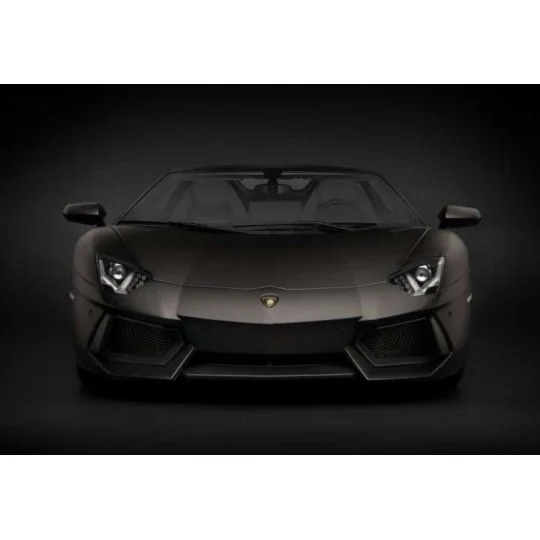 HK121F-Pocher HK121 Lamborghini Aventador LP 700-4 Roadster Nero Nemesis Noir Mat 1/8