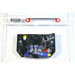 Berry motor body SR / RB / FA Pandora Pandora RC PAI-801 - 12