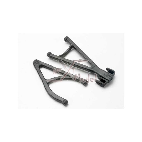 TRX-5333-Triangle back SUP and inf. - TRX-5333