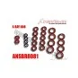 ANSBR8081-Kit sealed bearings XRay 808 Answer - ANSBR8081