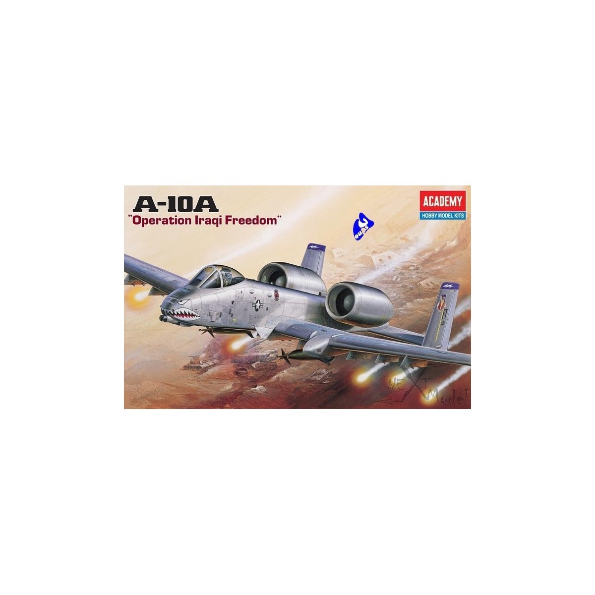 A-10A Opération Iraqi Freedom 1/72 Academy Academy AC12402 - 3