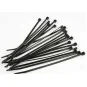 FAST106BK-Colliers rilsan noirs 200x2.5mm (10) Fastrax - FAST106BK