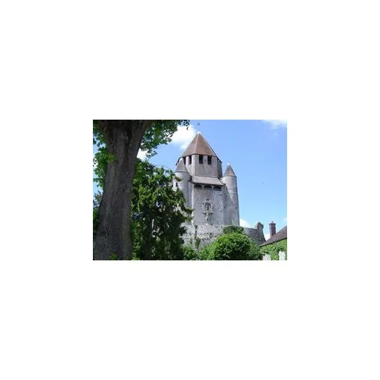 AED1009-Tour Cesar (France) 8250pcs maquette en céramique Aedes