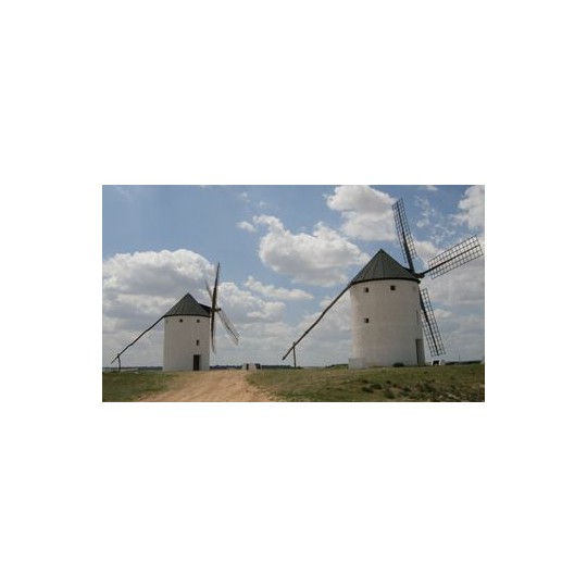 AED1255-Moulin La Mancha (Espagne) 1250pcs maquette en céramique Aedes