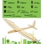 Planeur SunBird V2 1600mm kit balsa DW Hobby DW Hobby - Dancing Wings Hobby F1601C - 10 F1601C-Planeur SunBird V2 1600mm kit balsa DW Hobby - F1601C
