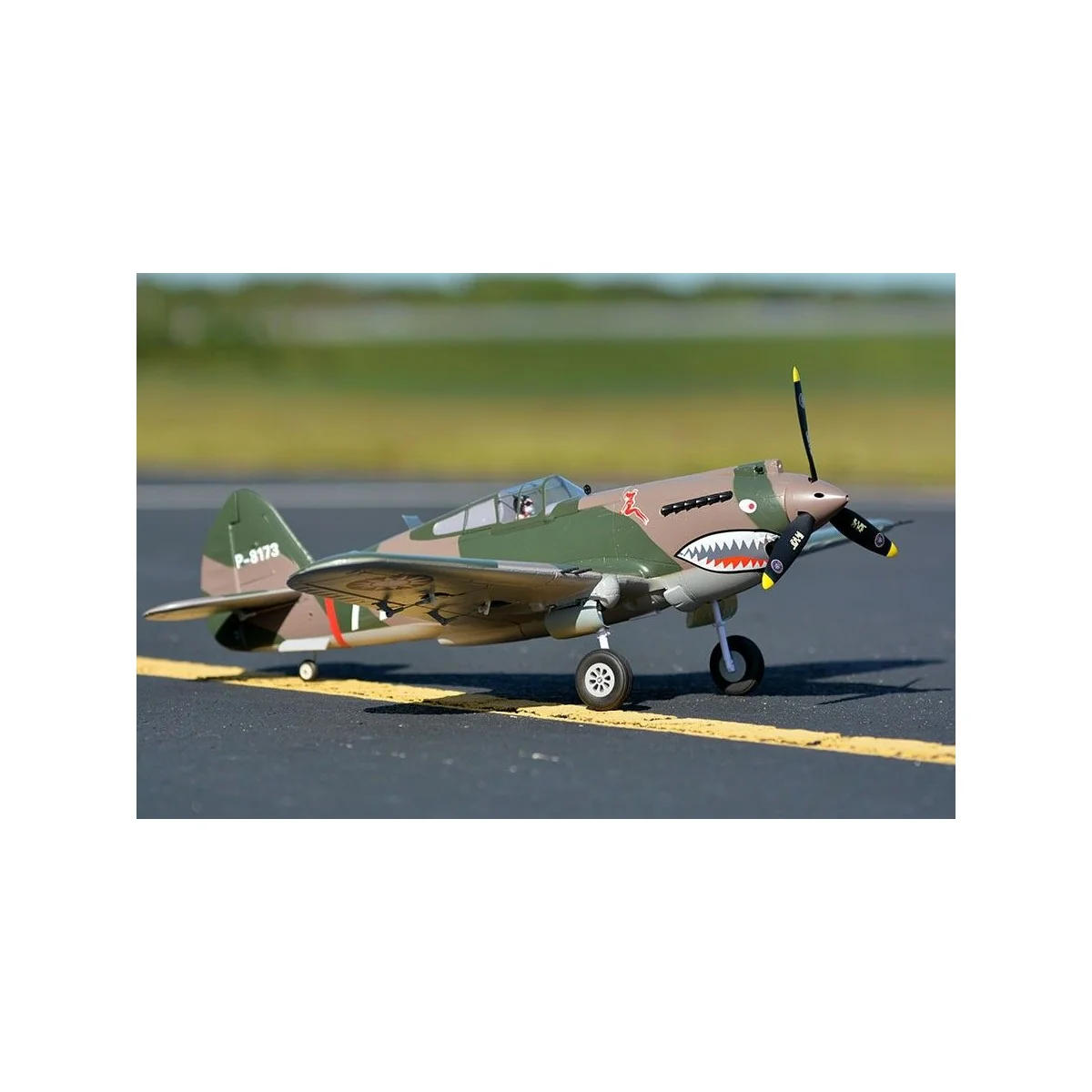 P-40B Flying Tiger 980mm PNP FMS FMS Model FMS075C - 2