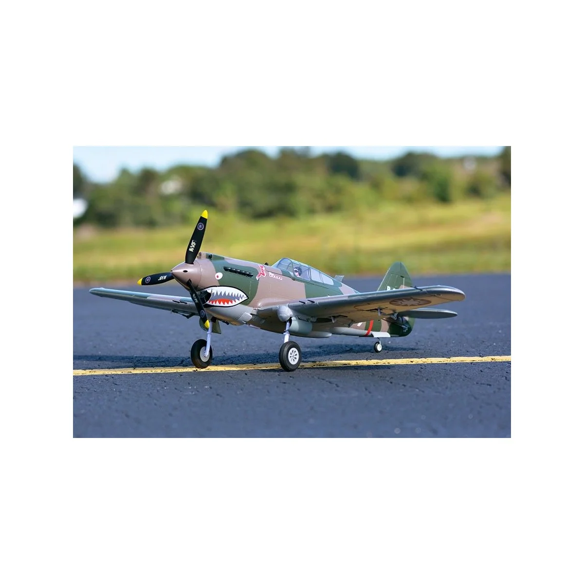 P-40B Flying Tiger 980mm PNP FMS FMS Model FMS075C - 3