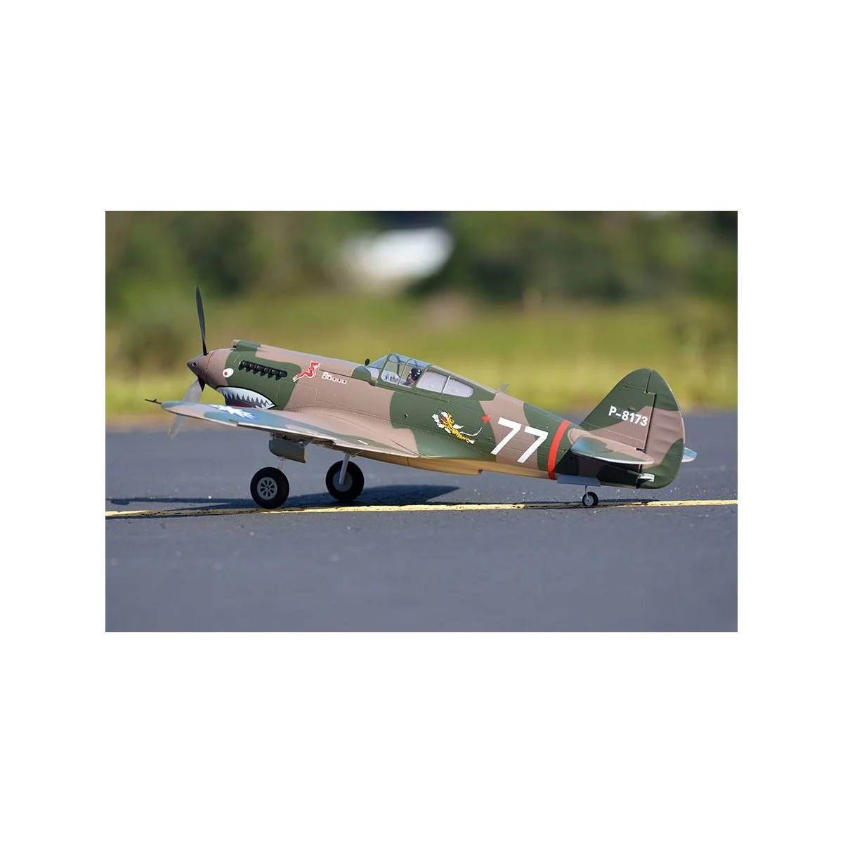 P-40 Flying Tiger 980 mm PNP FMS B FMS Model FMS075C - 4 P-40 Flying Tiger 980 mm PNP FMS B FMS Model FMS075C - 4