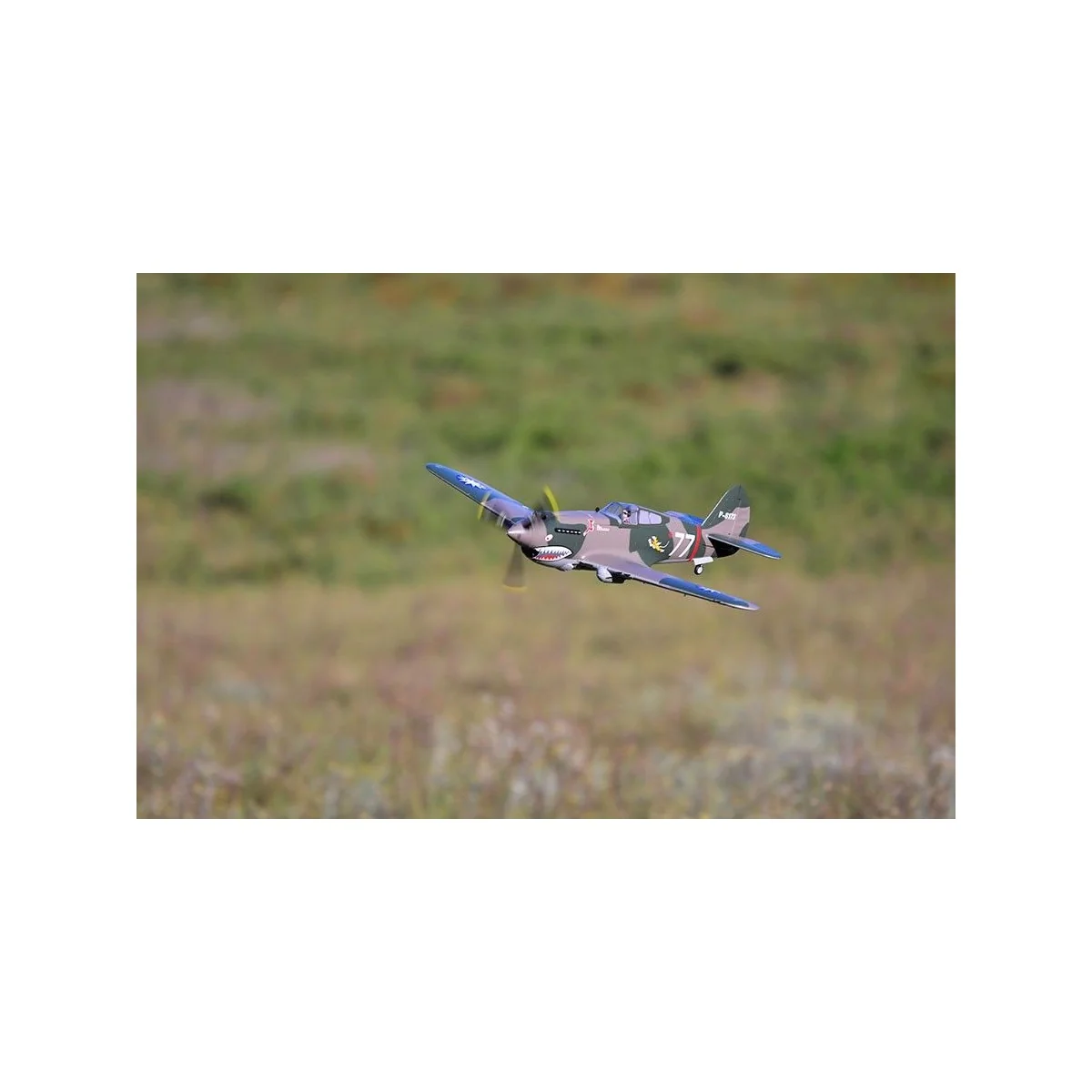 P-40B Flying Tiger 980mm PNP FMS FMS Model FMS075C - 5