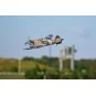 P-40 Flying Tiger 980 mm PNP FMS B FMS Model FMS075C - 6 FMS075C-P-40 Flying Tiger 980 mm PNP FMS B - FMS075C