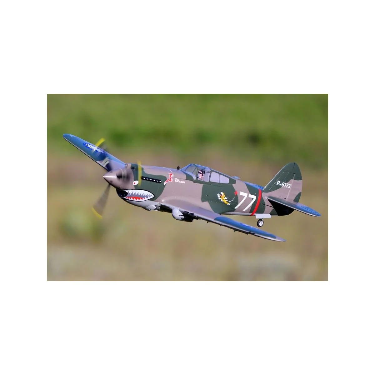 P-40B Flying Tiger 980mm PNP FMS FMS Model FMS075C - 7