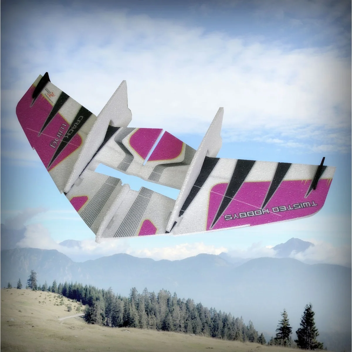 Crack Wing Violet Kit EPP RC Factory RC Factory F01 - 2 Crack Wing Violet Kit EPP RC Factory RC Factory F01 - 2