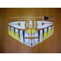 F04-Crack Wing Jaune Kit EPP RC Factory