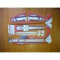 L06-Crack Laser Vert LiteSeries 800mm Kit EPP RC Factory - L06