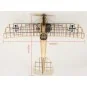 Albatros D.III 1/15 laser cutting wood, static model DW Hobby DW Hobby - Dancing Wings Hobby VS03 - 4 VS03-Albatros D.III 1/15 laser cutting wood, static model DW Hobby - VS03