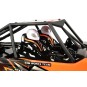 T4942-Pirate Swinger Crawler 4WD 1/10 RTR 2.4Ghz T2M