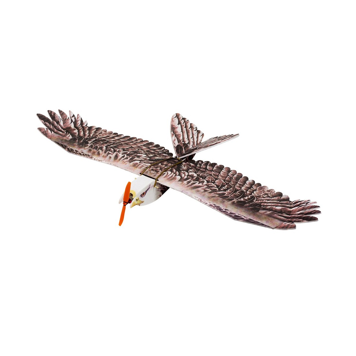 Aigle Eagle II 1m43 E19 EPP Kit PNP DW Hobby DW Hobby - Dancing Wings Hobby E1904 - 1