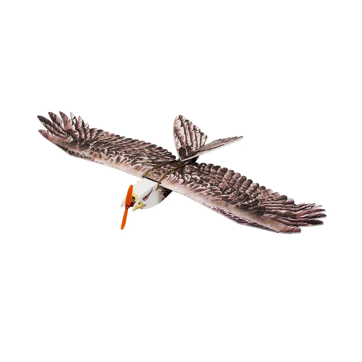 Aigle Eagle II 1m43 E19 EPP Kit PNP DW Hobby DW Hobby - Dancing Wings Hobby E1904 - 1 Aigle Eagle II 1m43 E19 EPP Kit PNP DW Hobby DW Hobby - Dancing Wings Hobby E1904 - 1