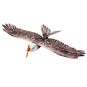 E1904-Aigle Eagle II 1m43 E19 EPP Kit PNP DW Hobby - E1904