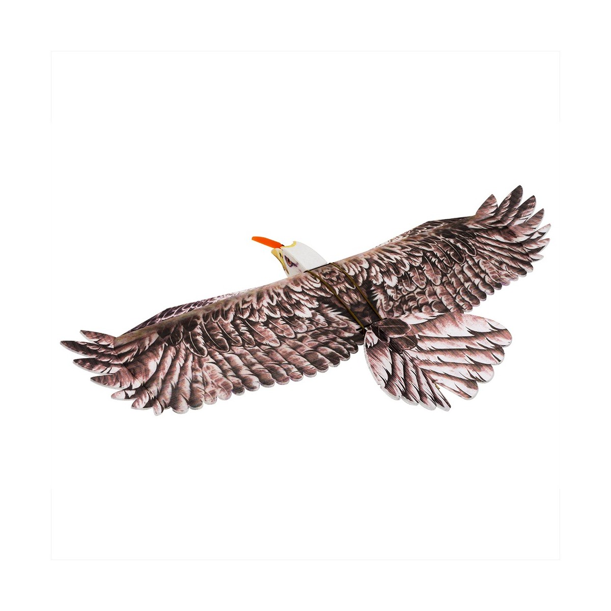 Aigle Eagle II 1m43 E19 EPP Kit PNP DW Hobby DW Hobby - Dancing Wings Hobby E1904 - 3