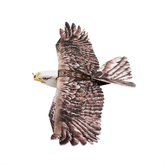 E1904-Aigle Eagle II 1m43 E19 EPP Kit PNP DW Hobby