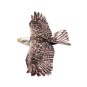 E1904-Aigle Eagle II 1m43 E19 EPP Kit PNP DW Hobby - E1904
