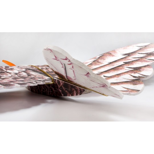 E1904-Aigle Eagle II 1m43 E19 EPP Kit PNP DW Hobby - E1904