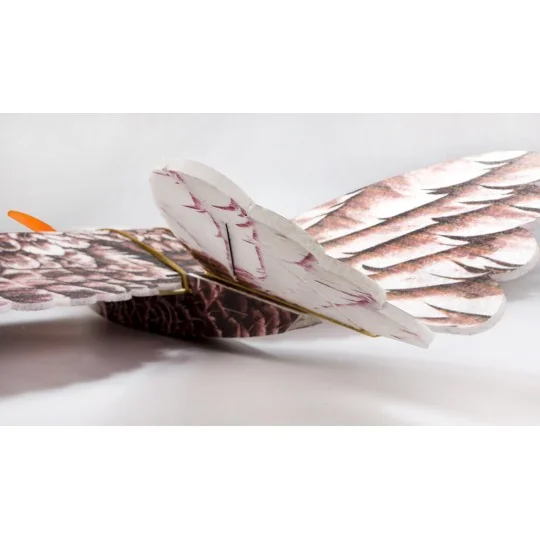 Aigle Eagle II 1m43 E19 EPP Kit PNP DW Hobby DW Hobby - Dancing Wings Hobby E1904 - 5 E1904-Aigle Eagle II 1m43 E19 EPP Kit PNP DW Hobby - E1904