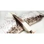 Aigle Eagle II 1m43 E19 EPP Kit PNP DW Hobby DW Hobby - Dancing Wings Hobby E1904 - 6 E1904-Aigle Eagle II 1m43 E19 EPP Kit PNP DW Hobby - E1904