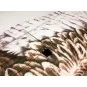 E1904-Aigle Eagle II 1m43 E19 EPP Kit PNP DW Hobby - E1904
