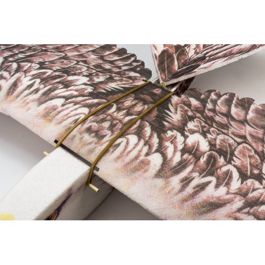 E1904-Aigle Eagle II 1m43 E19 EPP Kit PNP DW Hobby