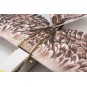E1904-Aigle Eagle II 1m43 E19 EPP Kit PNP DW Hobby - E1904