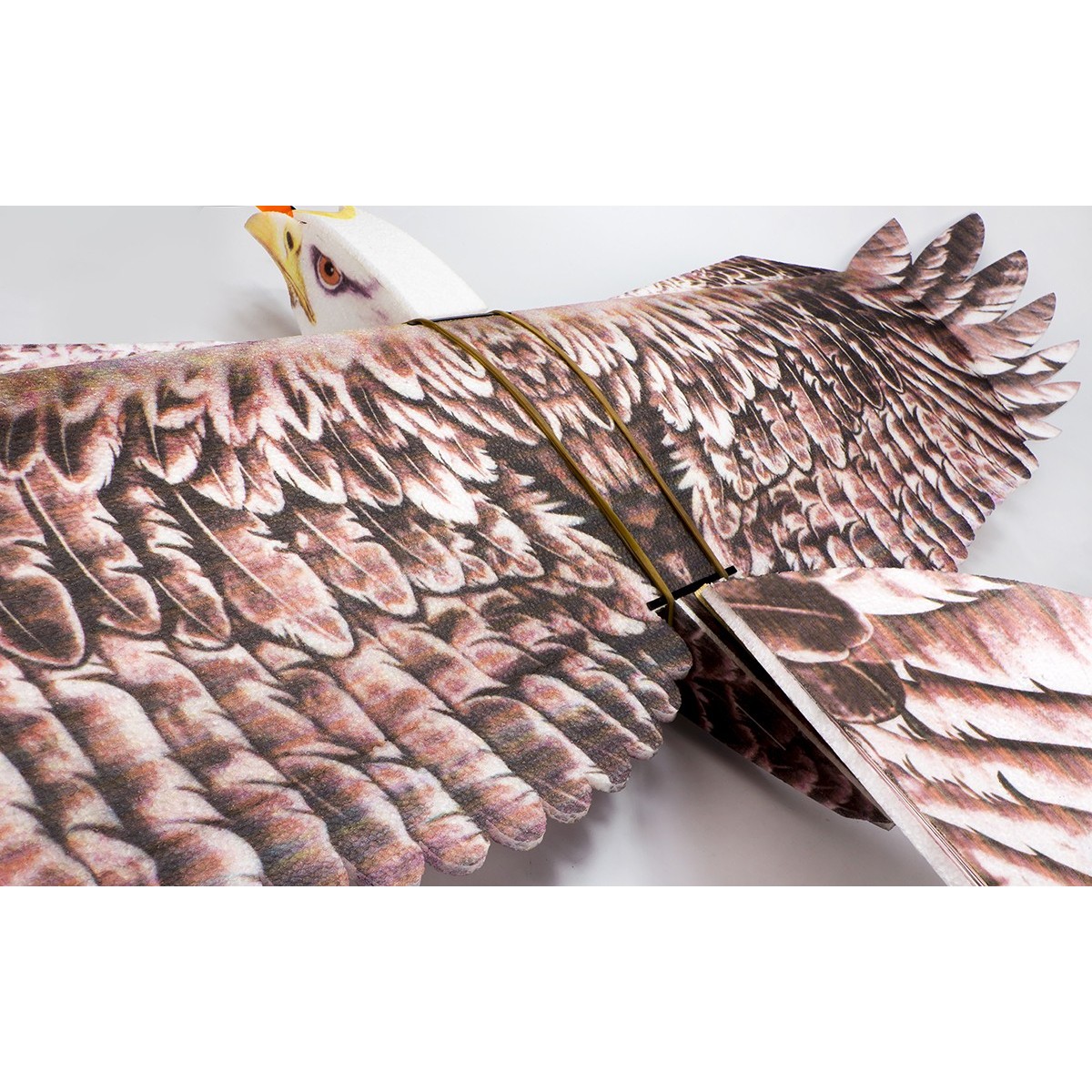 Aigle Eagle II 1m43 E19 EPP Kit PNP DW Hobby DW Hobby - Dancing Wings Hobby E1904 - 9