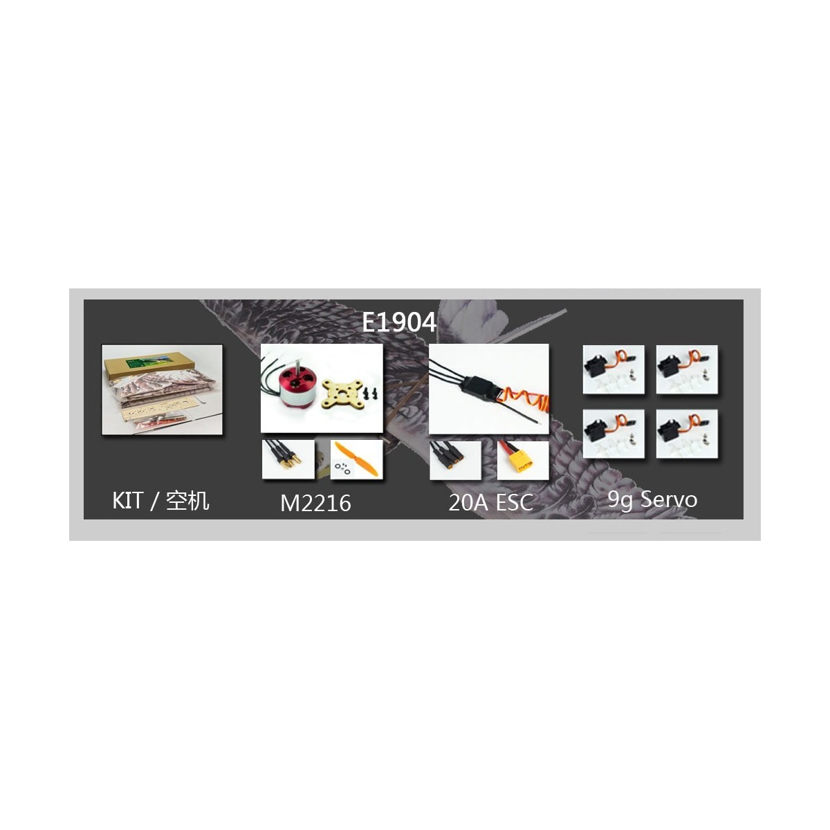 Aigle Eagle II 1m43 E19 EPP Kit PNP DW Hobby DW Hobby - Dancing Wings Hobby E1904 - 12