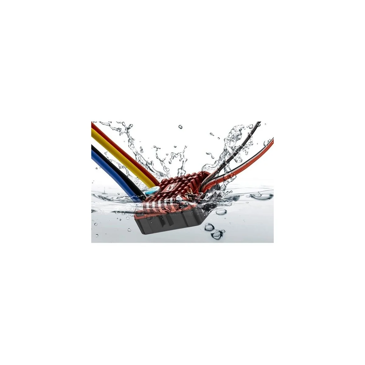 Variateur charbon étanche Crawler QUICRUN 80A + carte Hobbywing Hobbywing 30112750 - 5