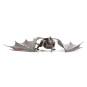 ICX124-Iconx Drogon Game Of Thrones Metal Earth - ICX124