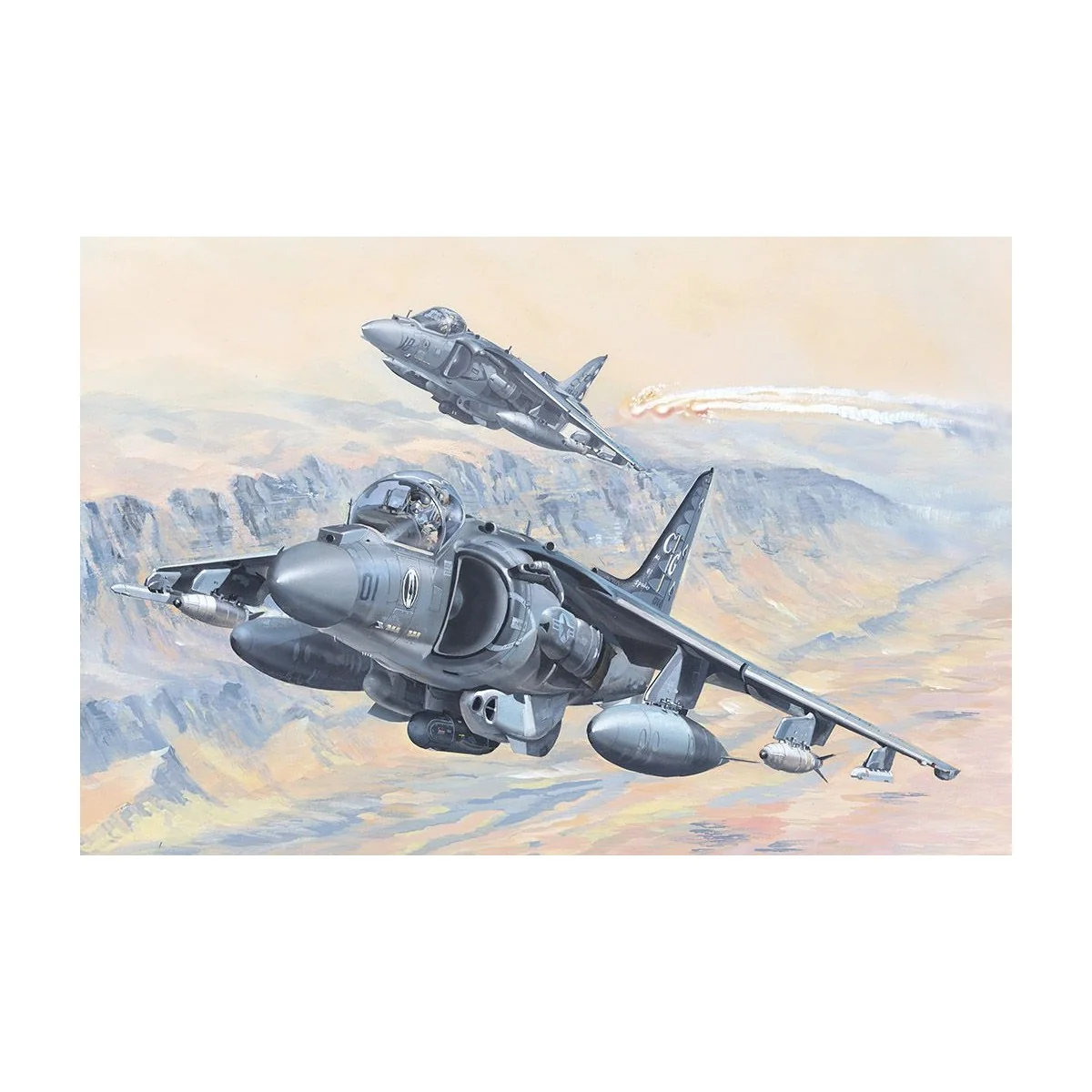 AV-8B Harrier II 1/18 Hobby Boss Hobby Boss HB81804 - 1 AV-8B Harrier II 1/18 Hobby Boss Hobby Boss HB81804 - 1