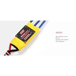 Brushless Controller 20A DYS DYS 30020 - 1