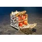 Boîte à dés 3D bois UGEARS UGEARS UG-70072 - 3 UG-70072-Boîte à dés 3D bois UGEARS - UG-70072