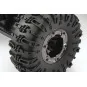 FTX5574-Ravine Crawler 4WD MOA 1/10 RTR 2.4Ghz FTX - FTX5574
