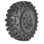 1.CRX2.RTR-Crawler CRX2 RTR 1/10 Hobbytech - 1.CRX2.RTR
