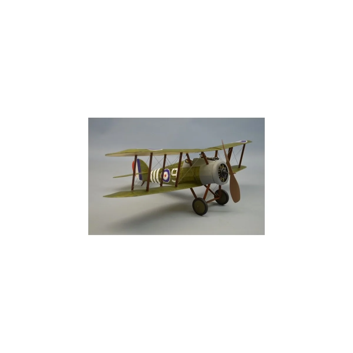 Sopwith Snipe Dumas Dumas S1250244 - 4