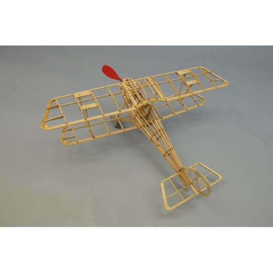 S1250243-Pflaz D3 Dumas