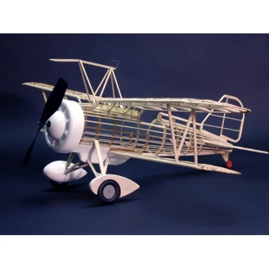 Curtiss F9C-2 Sparrowhawk Dumas Dumas S1250319 - 5 S1250319-Curtiss F9C-2 Sparrowhawk Dumas - S1250319