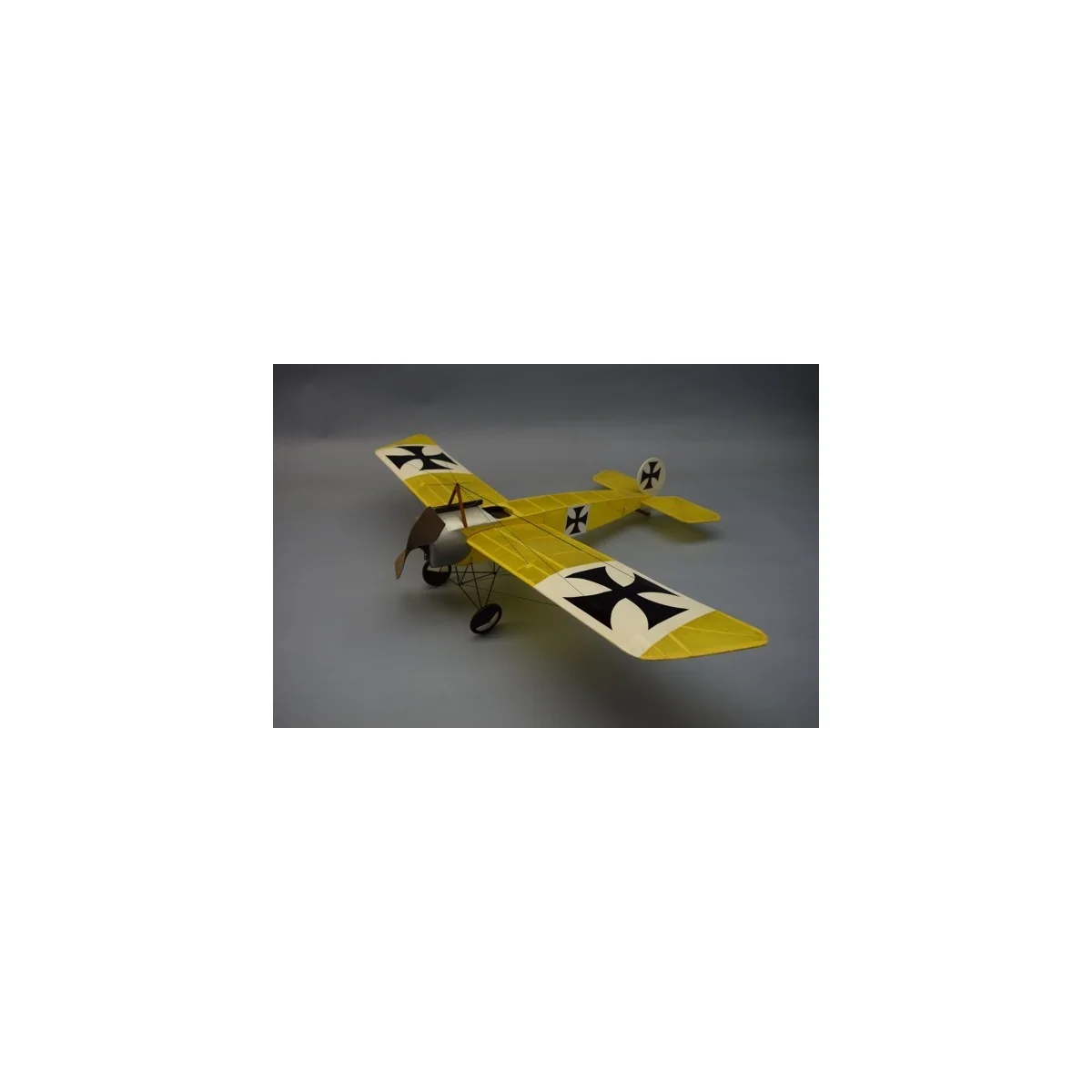 Fokker EINDECKER E111 Dumas Dumas S1250331 - 1