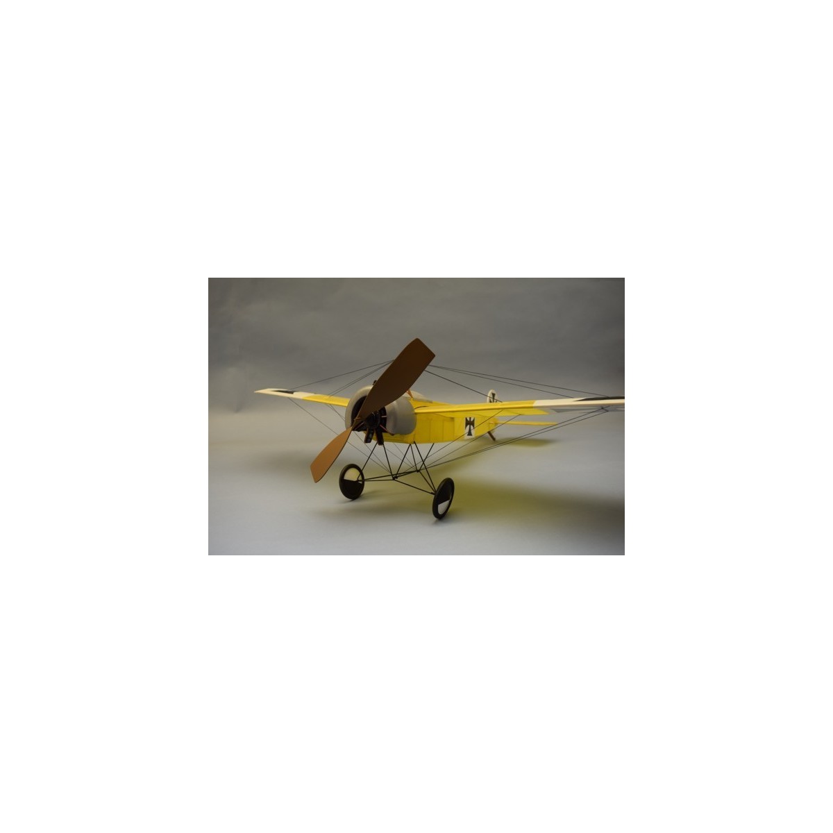 Fokker EINDECKER E111 Dumas Dumas S1250331 - 2