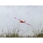 Stick -06 580mm R03 Kit balsa DW Hobby DW Hobby - Dancing Wings Hobby R0301 - 10 R0301-Stick -06 580mm R03 Kit balsa DW Hobby - R0301