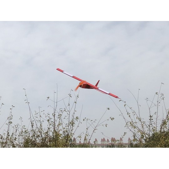 R0304B-Stick -06 580mm R03 PNP + entoilage Kit balsa DW Hobby