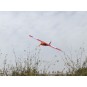 R0304B-Stick -06 580mm R03 PNP - Balsa Kit DW Hobby - R0304B